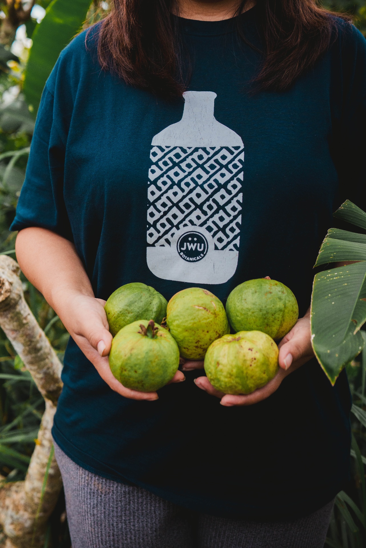 Freshly picked pink guava